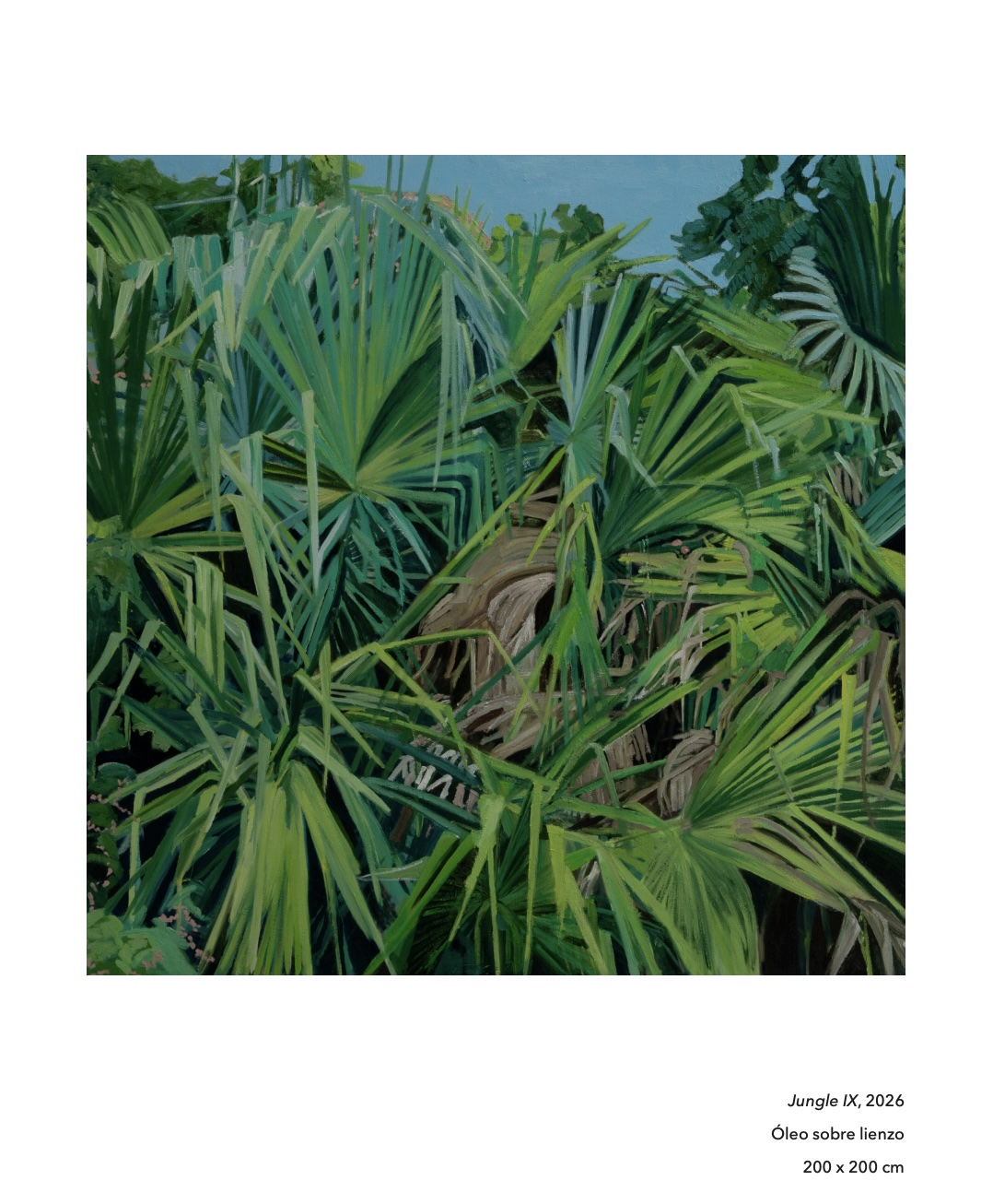 Jungle 18 